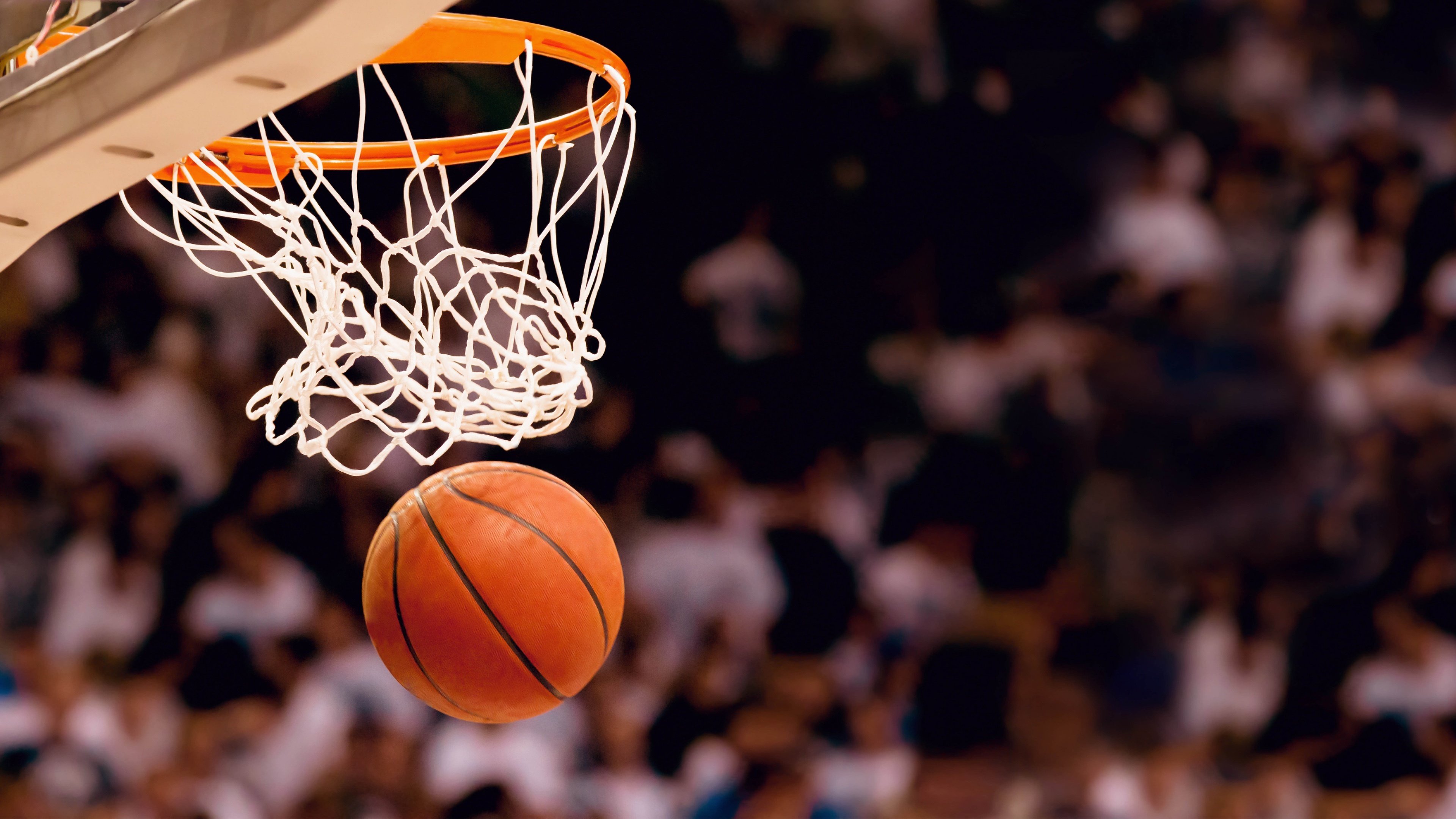 蓝衣折戟非洲雄狮,2026世界杯焦点战,喀麦隆完胜意大利,费利克斯完成致命一击